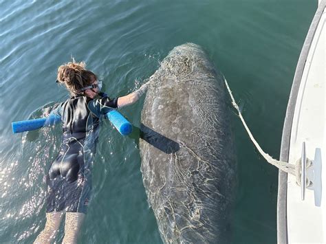 ROD'S FLORIDA CHARTER SERVICE (2026) All You Need to Know BEFORE You Go ...