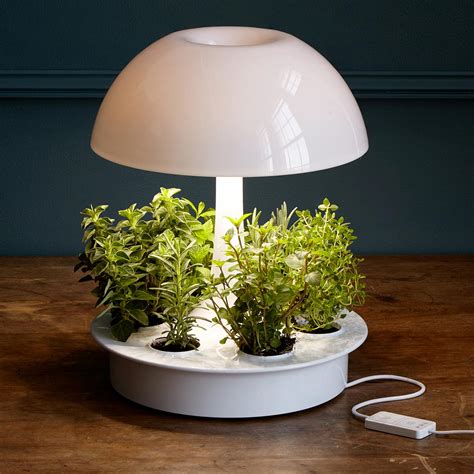 Can You Grow Plants Without Sunlight? - Smart Garden Guide