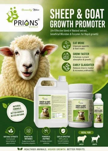 Feed And Animal Nutrition - Sheep Growth Promoter Manufacturer from ...