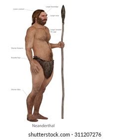 Image result for Automap Base SQLAlchemy