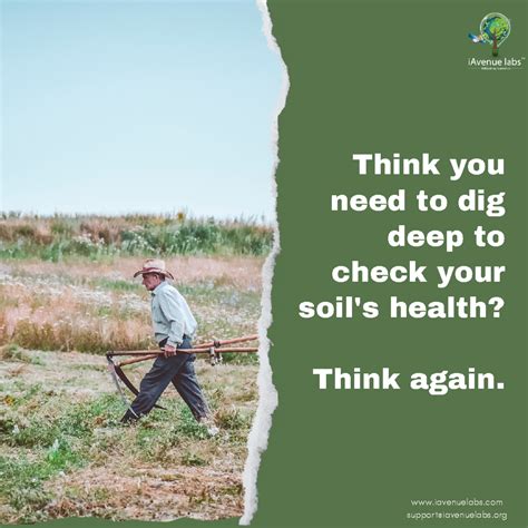 Instant Soil Testing - Think you need to dig deep to check your soil's ...