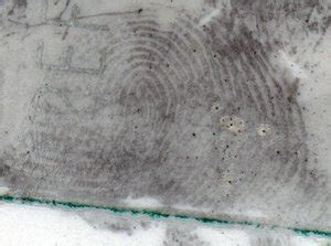 Forensics Articles - HORIBA