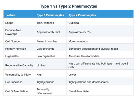Type 1 vs Type 2 Pneumocytes