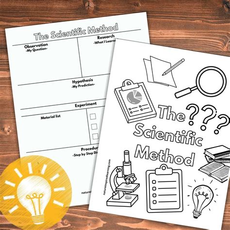 Image result for Scientific Method Graphic Organizer Worksheet
