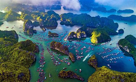 Khám phá làng chài Cái Bèo – Làng nổi cổ kính trên đảo Cát Bà