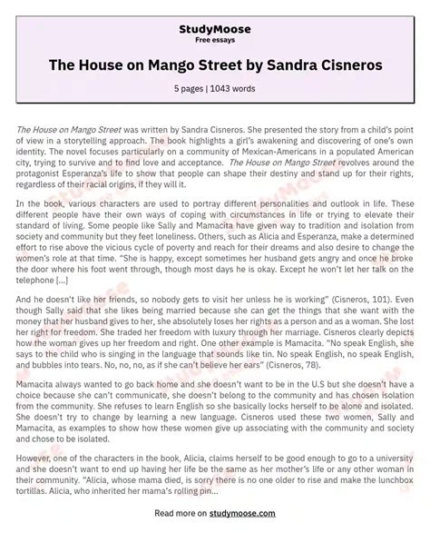 The House on Mango Street by Sandra Cisneros Free Essay Example