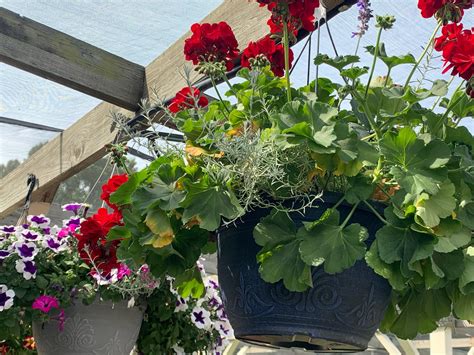 The Hanover Plant Farm Nursery and Garden Center – Hanover Vegetable Farm