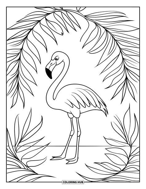 210+ Flamingo Coloring Pages for Kids & Adults (Free Printable PDFs)