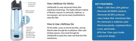 Lifestraw Go Personal Water Purifier Water Bottle, 650ml : Amazon.in ...