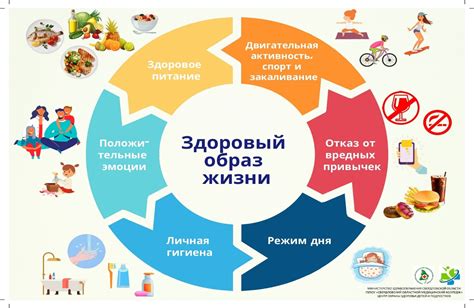 Загляните в свою лучшую жизнь: 10 шагов к здоровому образу жизни - МС ...