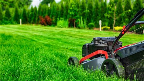 How to Get Rid of Weeds Permanently - JParkers