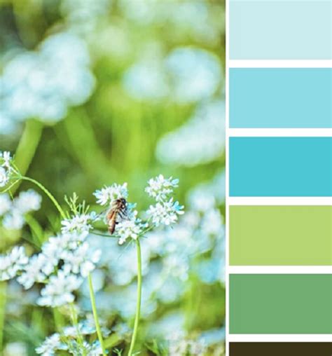 Image result for Turquesa Color