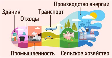 Что такое углеродный след планеты и из чего состоит наш собственный ...