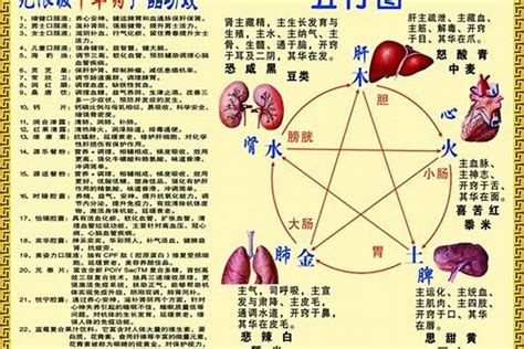 2014属马是什么命五行属性？2014年出生的孩子五行属什么_起名_若朴堂文化