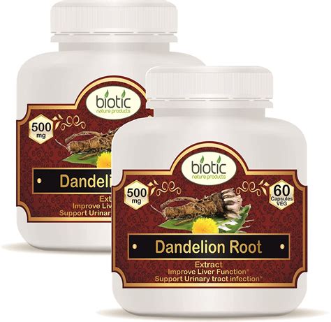 Buy Biotic Natural Dandelion Root Capsules 500mg Extract - 120 Veg ...