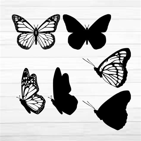layered butterfly svg