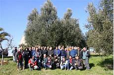 potatura olivo a vaso policonico 03 04 marzo 2018 corso avanzato di potatura a vaso policonico potatura olivo a vaso policonico 03 04 marzo 2018 corso avanzato di potatura a vaso policonico