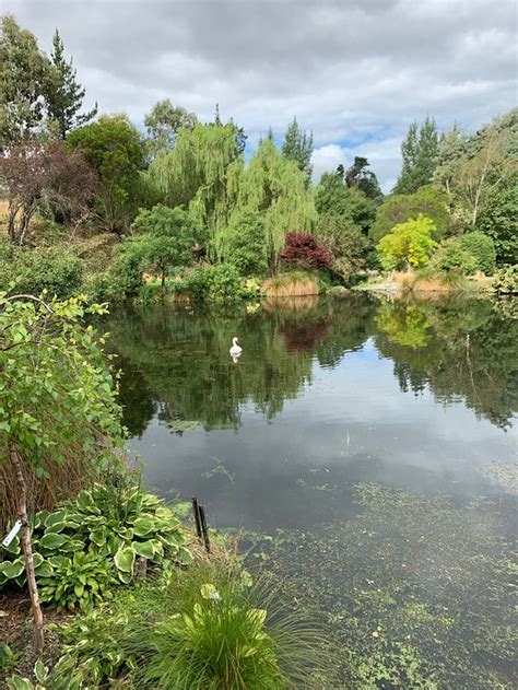 Waipara Tourism (2024): All You Need to Know Before You Go