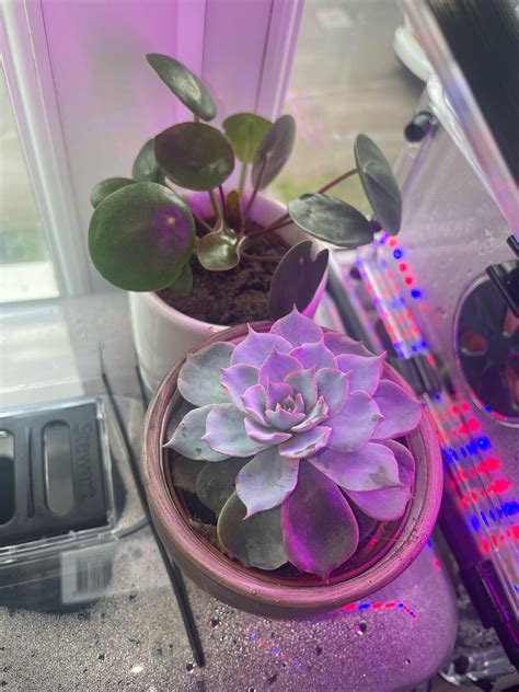 Image result for ASRock RGB Software Tutorial