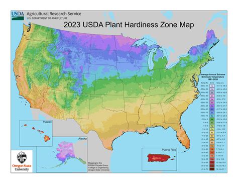 What the New USDA Gardening Zones Mean for the Midwest
