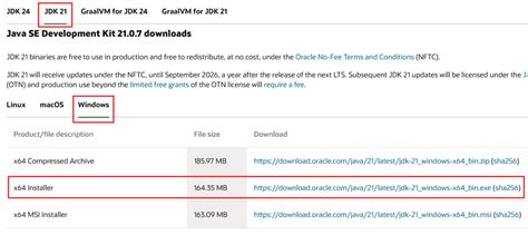 Java JDK Installer 的图像结果