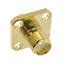 SMA Connector Products – Amphenol RF | DigiKey