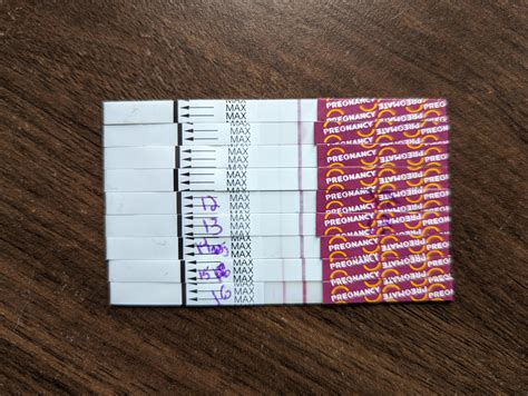 FRER DPO 10-14 and Pregmate DPO 10-16 progression : r/TFABLinePorn