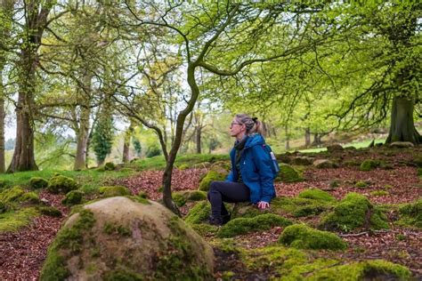 Forest-bathing Immersion - Celtic Festival of Imbolc, Slieve Gullion ...