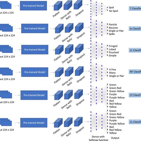 Image result for Multiclass Classification