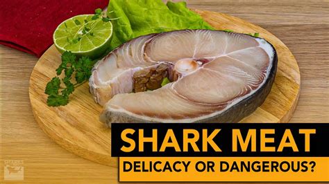 Are Sharks Actually Fatty? Exploring Shark Meat Nutrition