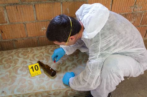 Forensic Science 的图像结果