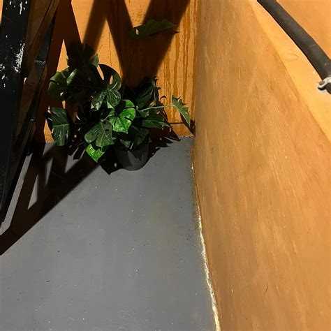 MOONSTONE HAMMOCK (Awas) - Campground Reviews, Photos, Rate Comparison ...