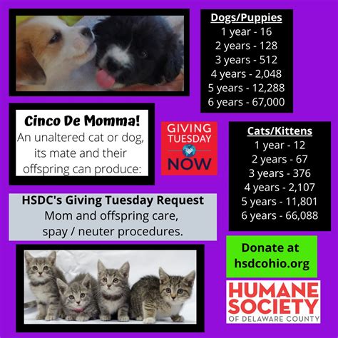 Humane Society of Delaware County on Twitter: "No elective surgeries ...