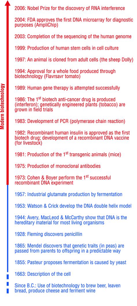 Drawing of the Progression of Biotechnology 的图像结果