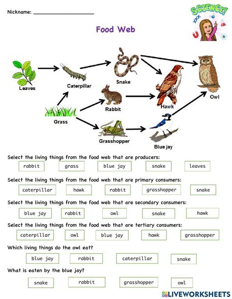 Image result for Food Web Questions