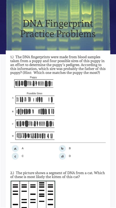 Image result for DNA Fingerprinting Lab Worksheet Printable