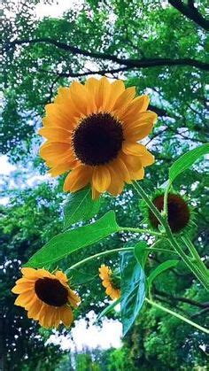 Image result for 2-Dimentional Java Program
