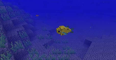 Image result for How to Fish in Minecraft Java