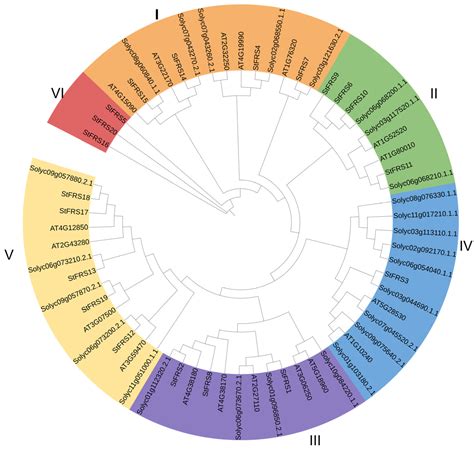 Genome-Wide Identification and Functional Characterization of FAR1 ...