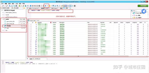 HeidiSQL 的图像结果