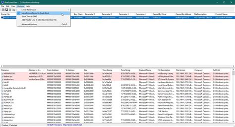 Image result for Blue Screen View