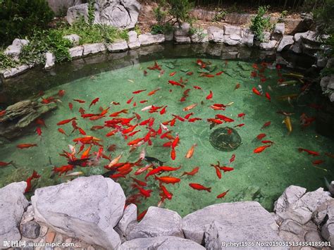 泰安好看的水池景点在哪里,泰安天乐城水世界好玩吗？亚龙湾水上乐园呢？
