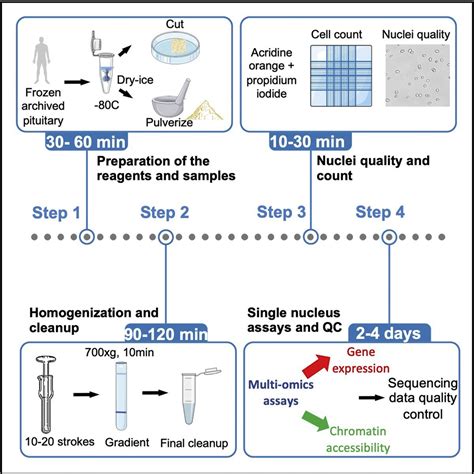Tumor Tissue Homogenization Protocol 的图像结果