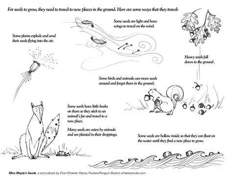 Seed Dispersal Worksheet 2Nd Grade