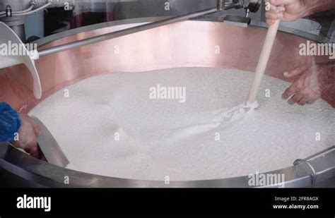 Image result for How to Make Processed Cheese