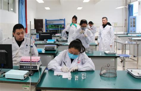 我校举办第五届硕士研究生科研实验技能大赛-桂林医学院研究生学院