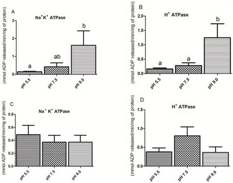 Expression of Ion Transporters and Na+/K+-ATPase and H+-ATPase ...