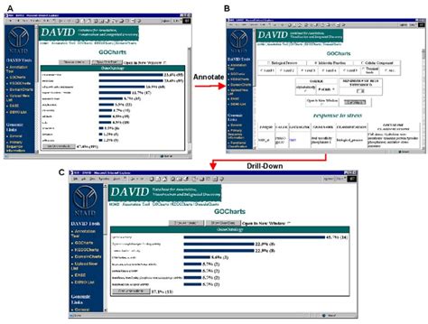 Image result for David Database Tutorial