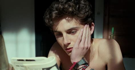 Timothee Chalamet Oscars Breakout Star CMBYN, Lady Bird