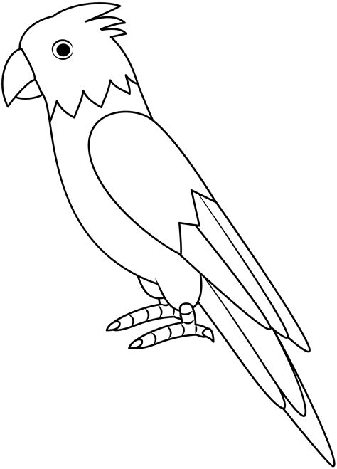 Image result for Parrot Drawing Printable